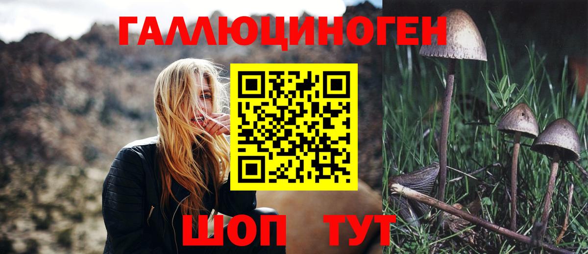 Галлюциногенные грибы MAGIC MUSHROOMS Урус-Мартан