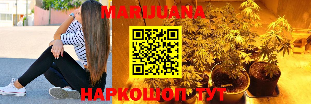 Конопля план Урус-Мартан